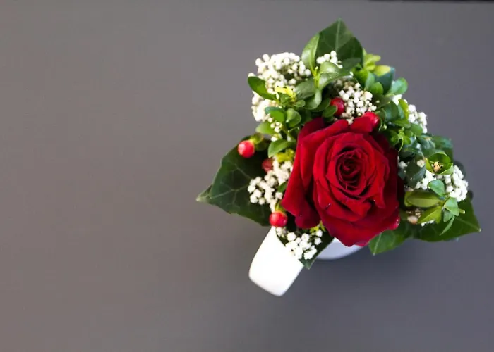 Appartement Refugium 2 Emsdetten